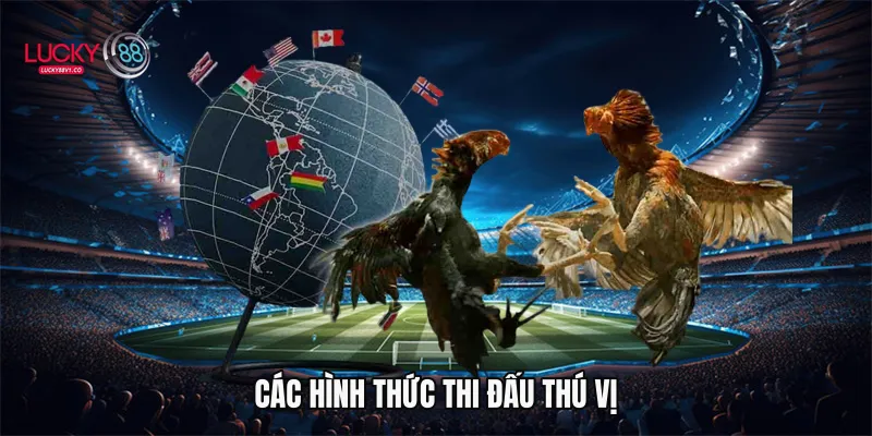 Các hình thức thi đấu thú vị