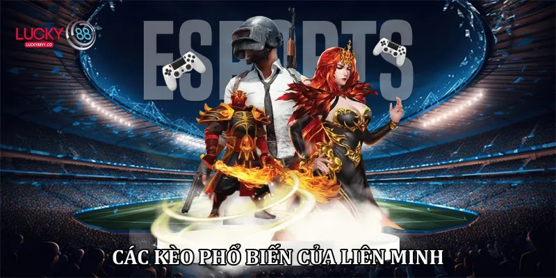 Các kèo phổ biến của liên minh