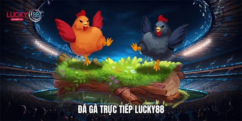 Đá gà trực tiếp