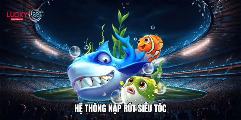 Hệ thống nạp rút siêu tốc