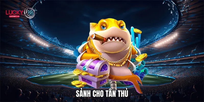 Sảnh cho tân thủ